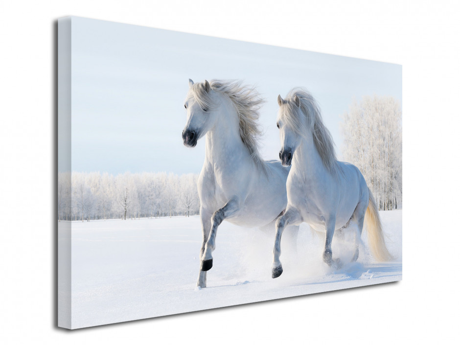 Tableau toile imprimée Chevaux dans la neige