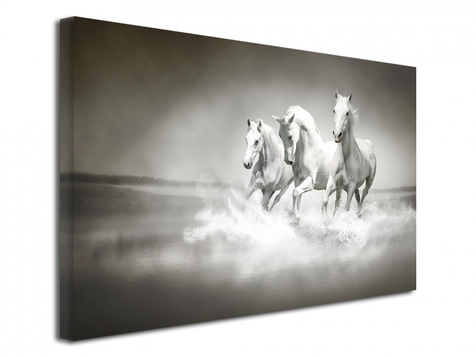 Tableau deco photo les 3 Chevaux