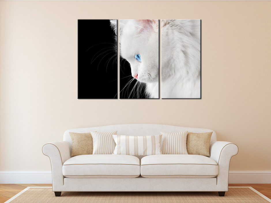 DECLINA Tableau Decoratif Le Petit Chat - Impression Photo Animaux sur  Toile décoration Murale - Déco Maison, Cuisine, Salon, Chambre Adulte -  Noir et Blanc 50x30 cm : : Cuisine et Maison