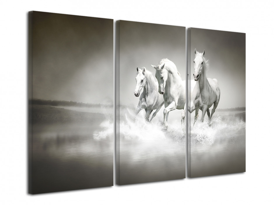 Tableau toile décorative cheveau au galot