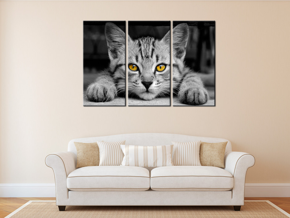 DECLINA Tableau Decoratif Le Petit Chat - Impression Photo Animaux sur  Toile décoration Murale - Déco Maison, Cuisine, Salon, Chambre Adulte -  Noir et Blanc 50x30 cm : : Cuisine et Maison