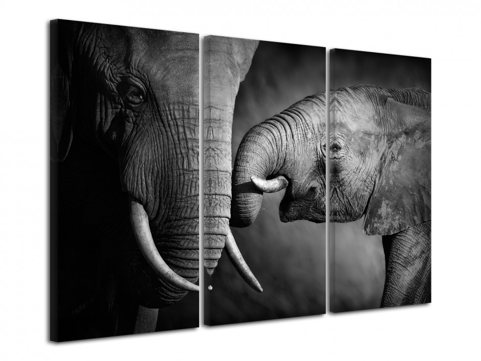 Tableau triptyque Elephant Noir et Blanc