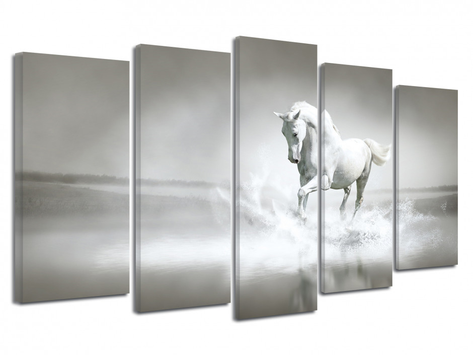 Tableau toile photo CHEVAL BLANC