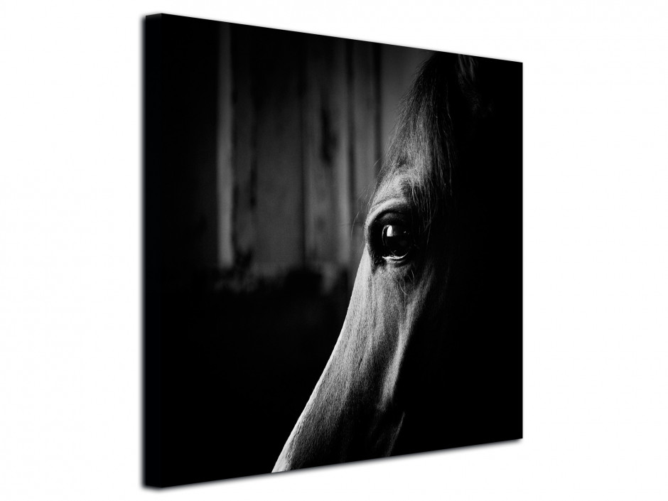 Tableau photo toile imprimée portrait Cheval