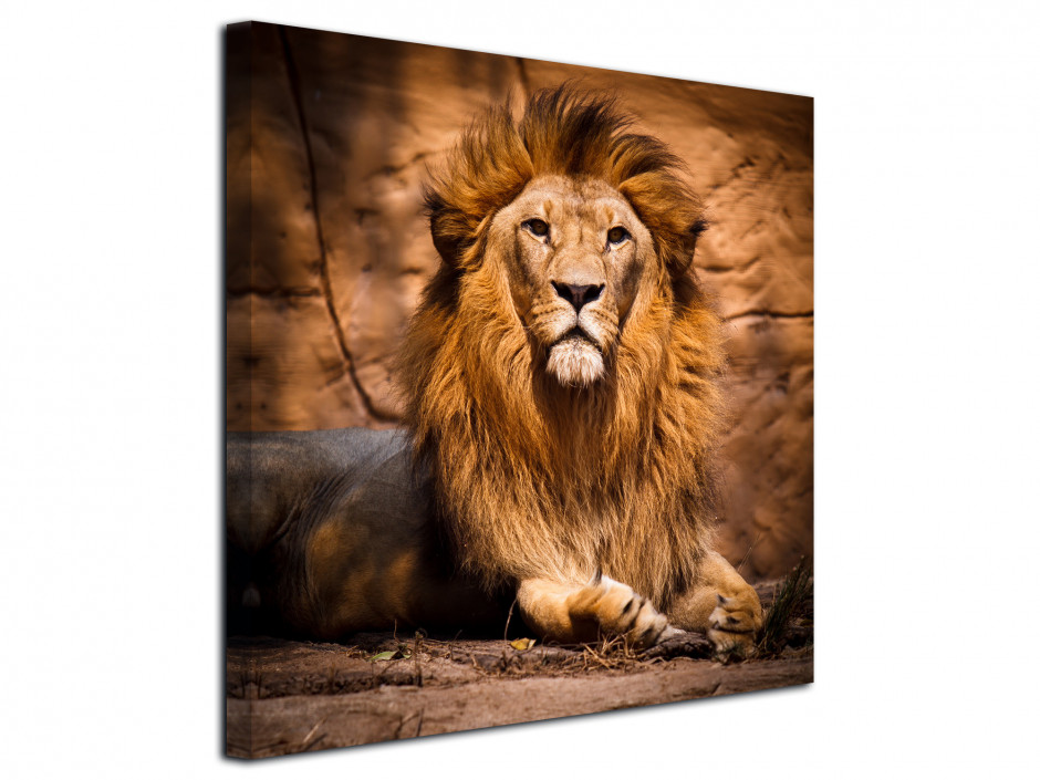 Tableau le roi Lion