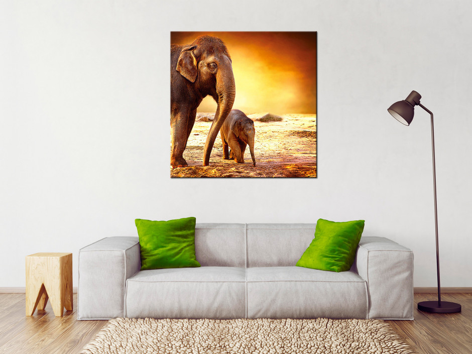 Tableau toile décorative l'éléphanteau et sa maman