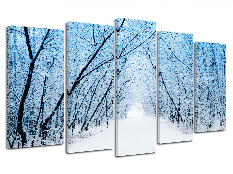 Tableau photo le charme de la FORET SOUS LA NEIGE