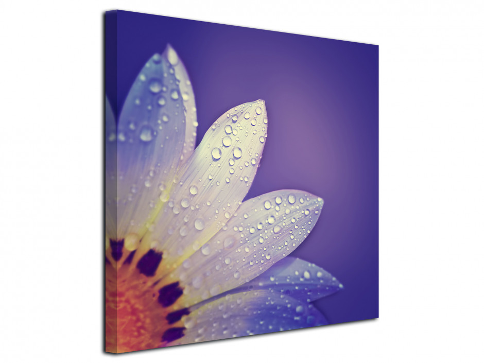 Tableau deco pétale de fleurs violet