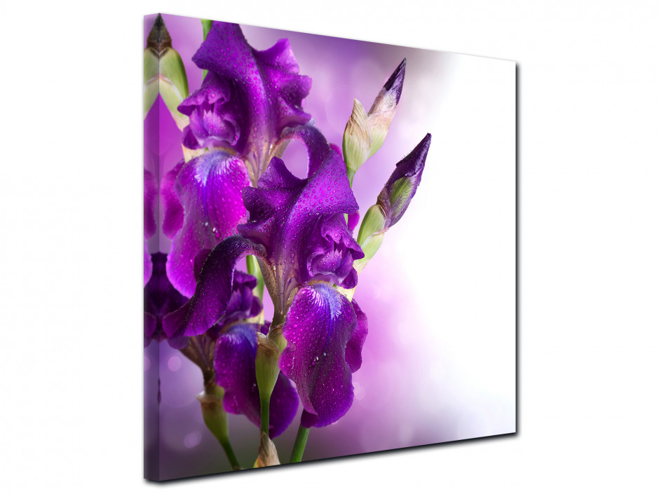 Tableau toile deco Fleurs d'Iris