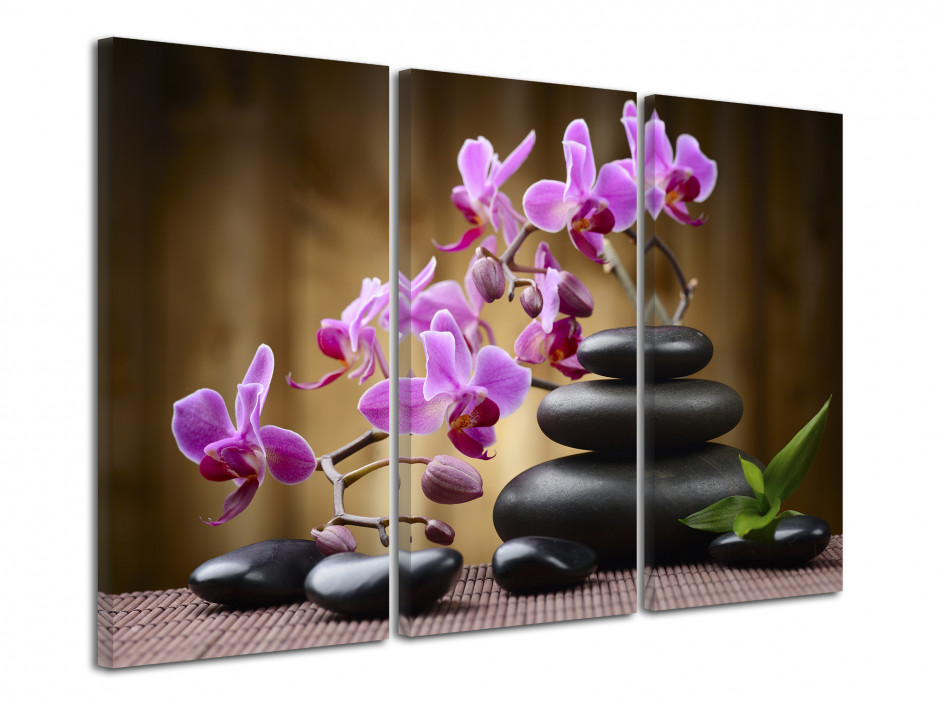 Tableau toile deco Orchidées et Galets
