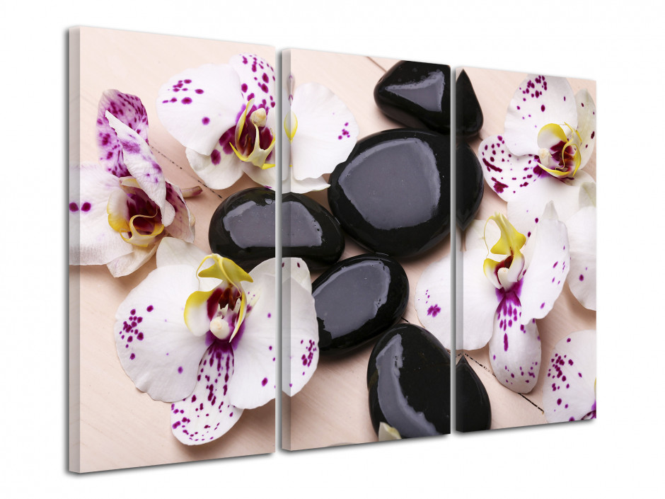 Tableau deco Orchidées et galets zen