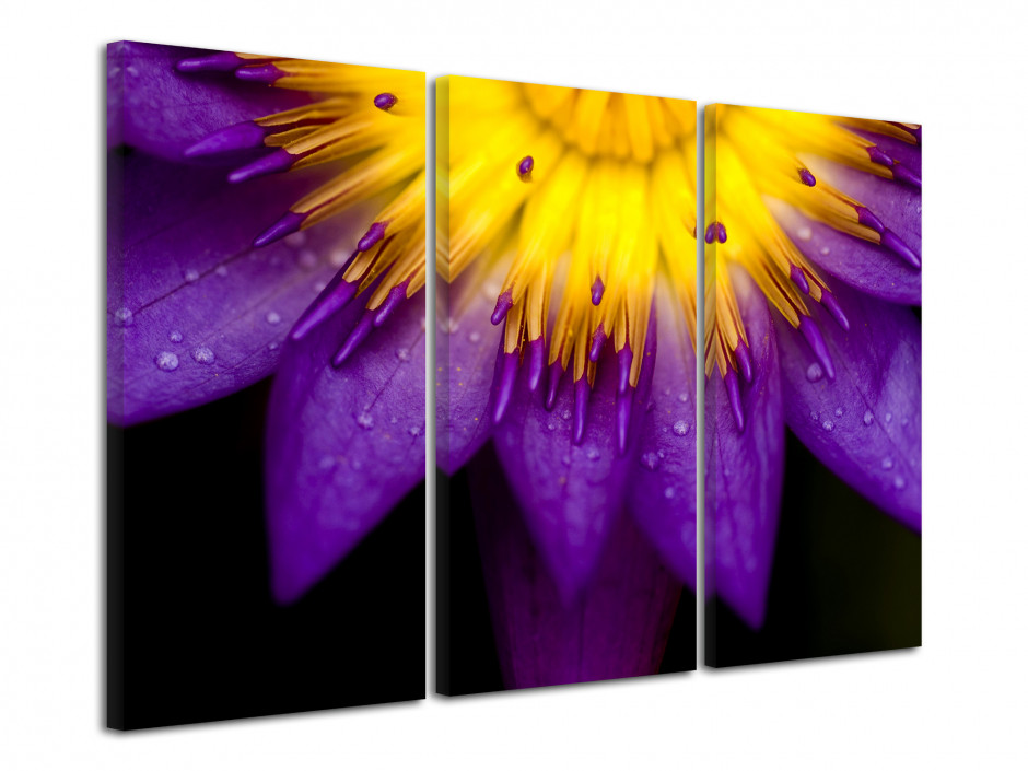 Tableau toile deco triptyque Fleurs de Lotus