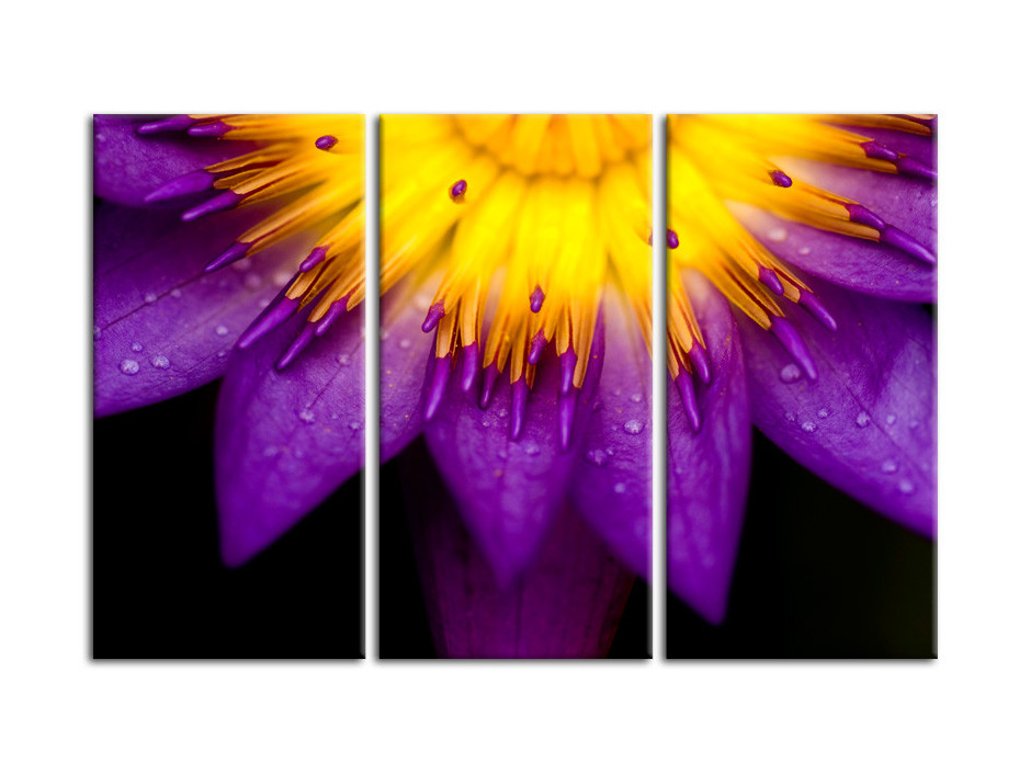 Tableau toile deco triptyque Fleurs de Lotus