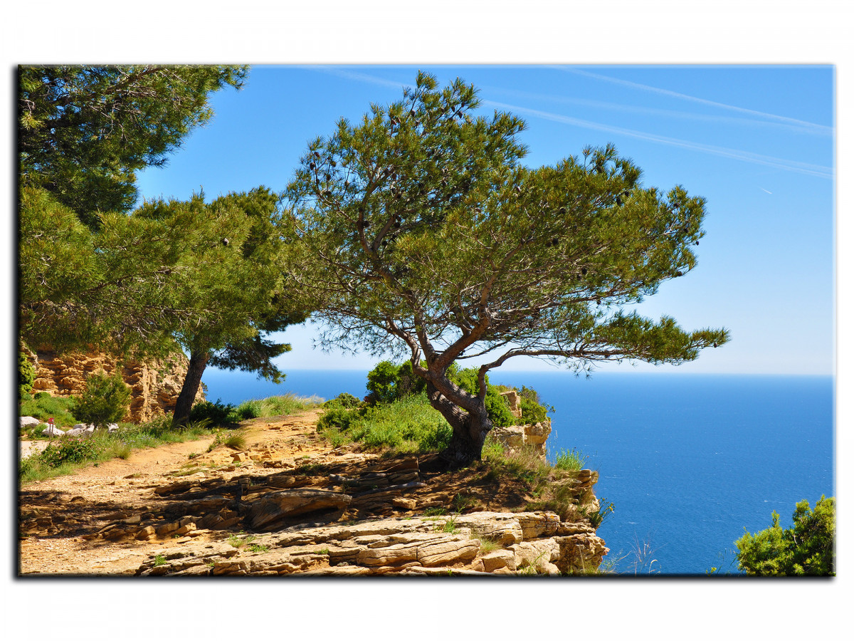 côte d'azur paysages