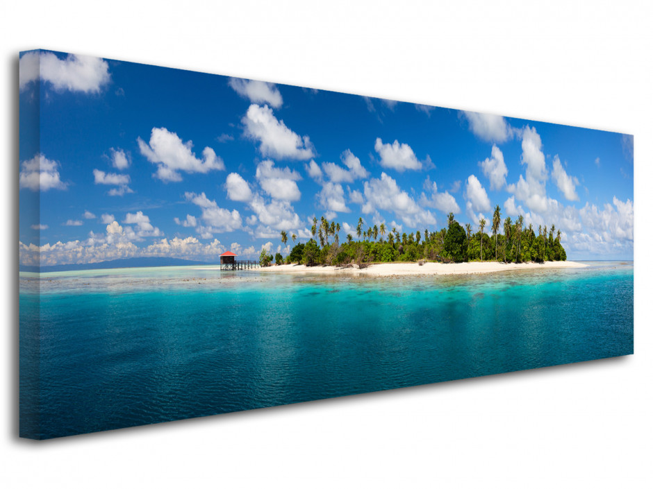 Tableau paysage panoramique ILE DESERTE