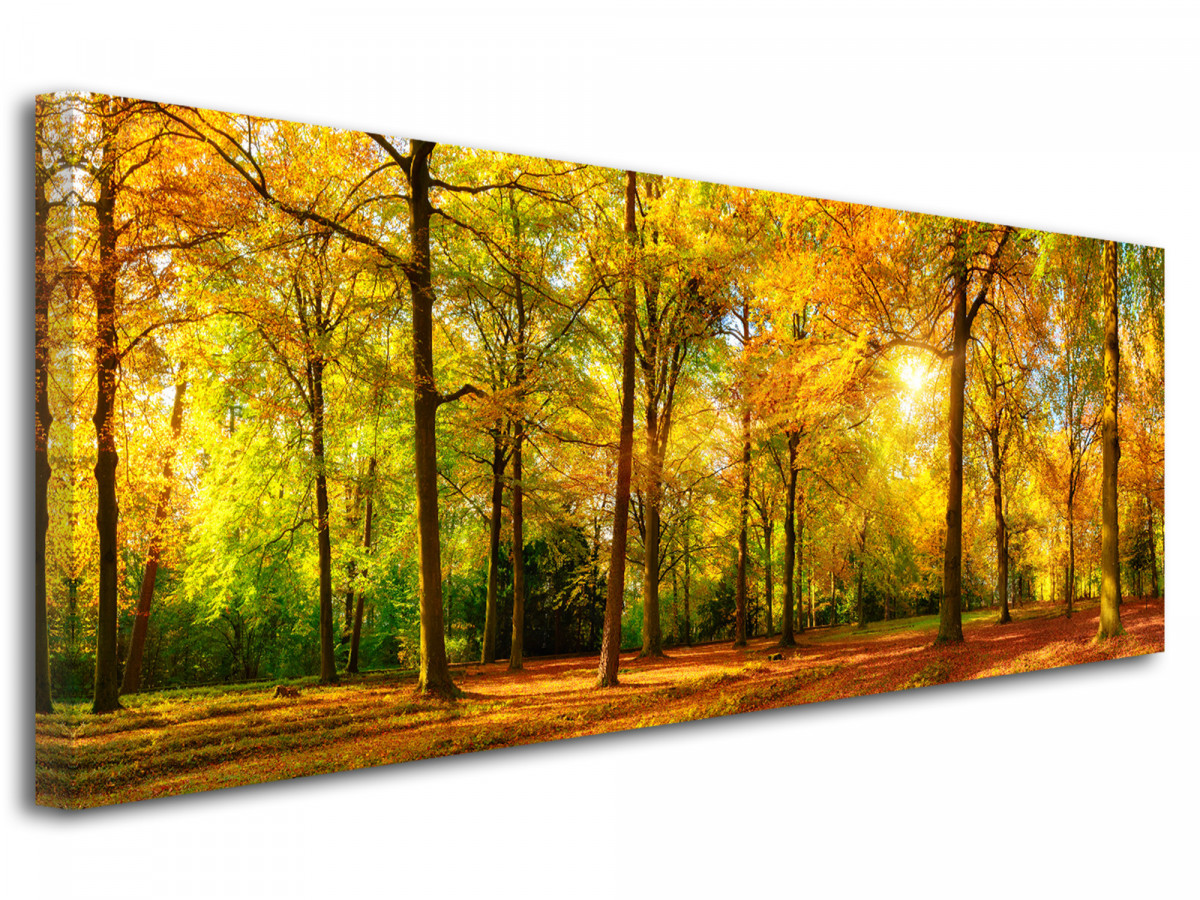 Automne forêt paysage rivière cascade toile wall art panoramique encadrée imprimer