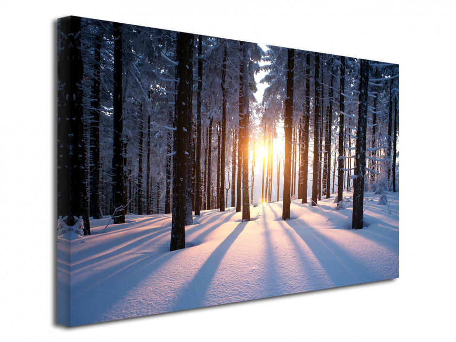 Tableau photo COUCHER DE SOLEIL DANS LE BOIS