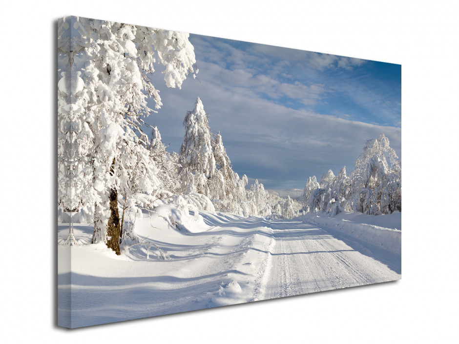 Tableau toile photo ROUTE ENNEIGE