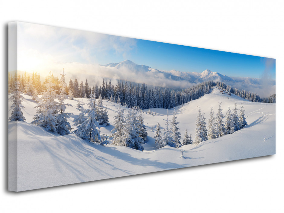 Tableau deco photo MONTAGNE DES CARPATES