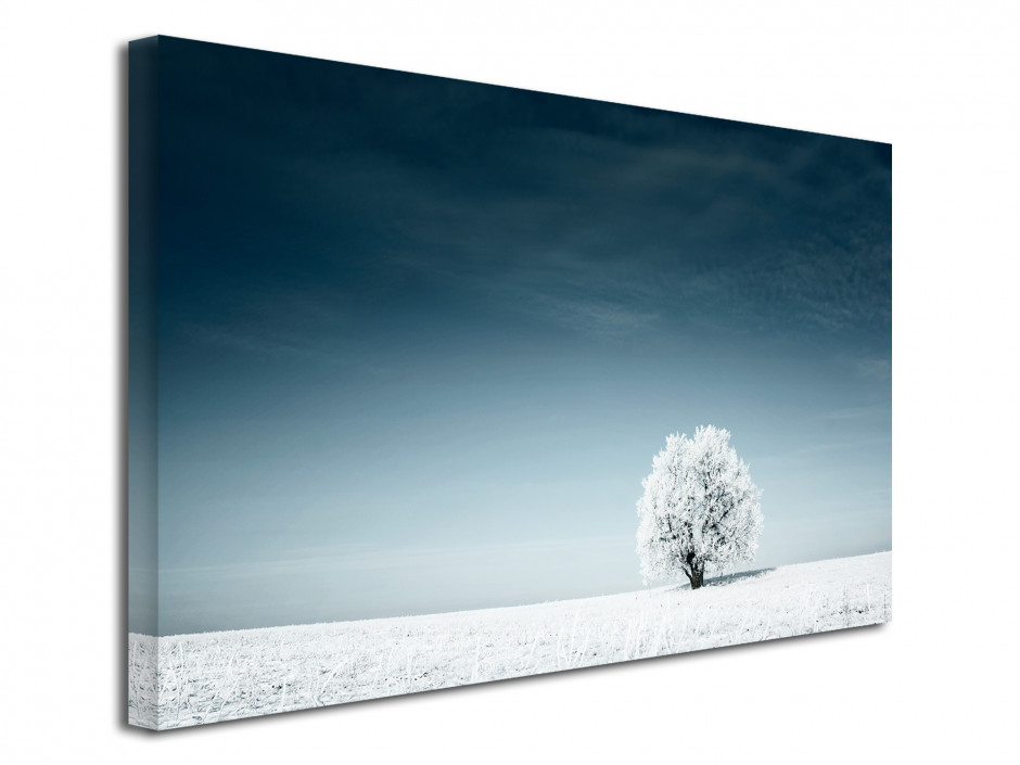 Tableau toile photo paysage SOLITAIRE