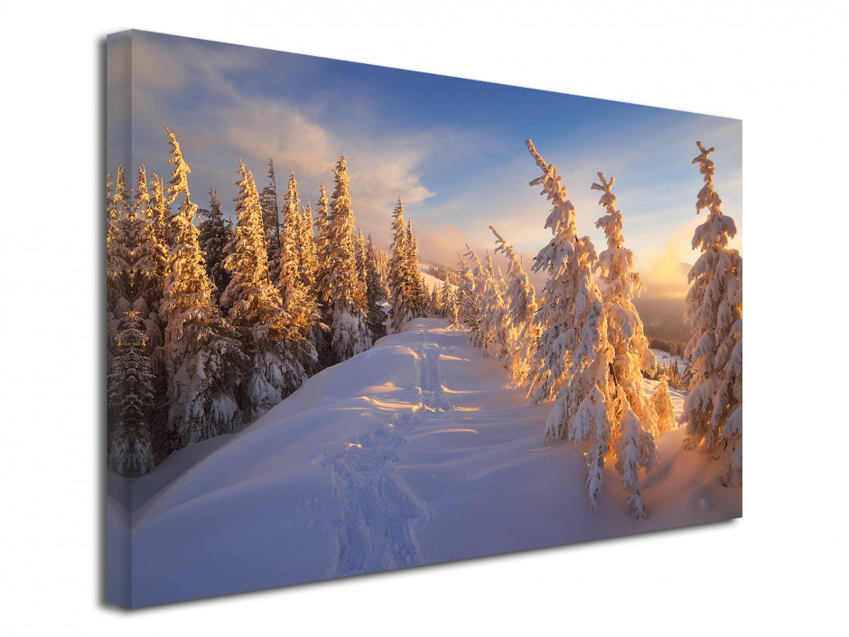 Tableau toile FORET ENNEIGE