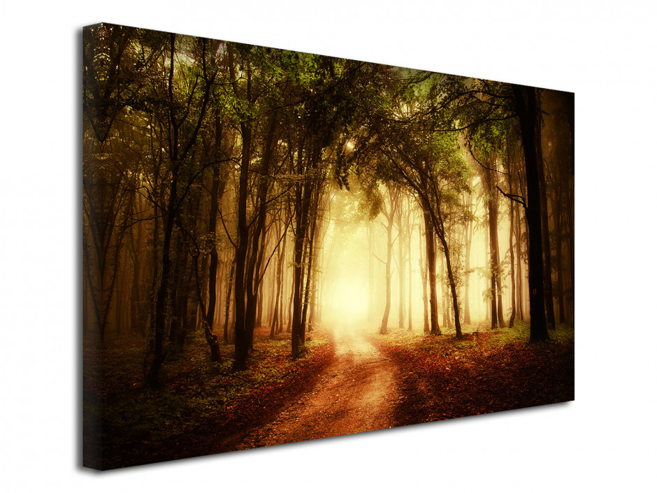 Tableau toile photo paysage COUCHER DE SOLEIL EN FORET