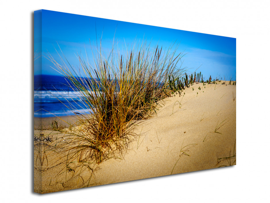 Tableau toile photo LA DUNE DES LANDES