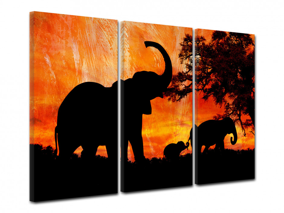 Tableau decoratif Elephant d'Afrique