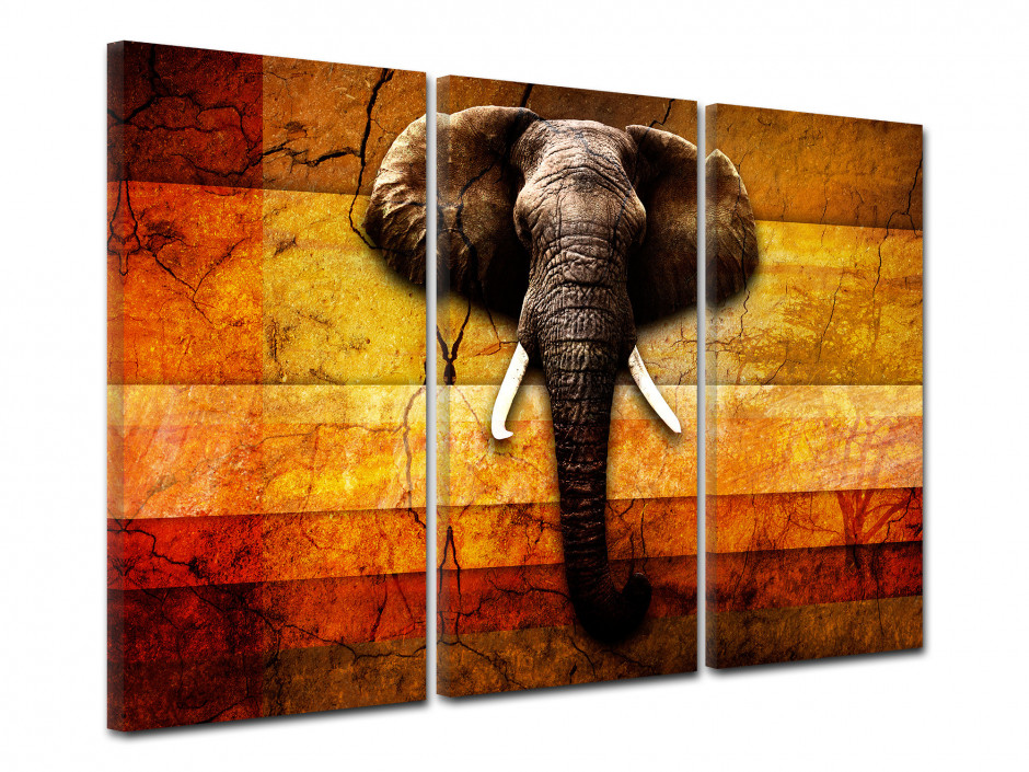 Tableau deco triptyque Elephant