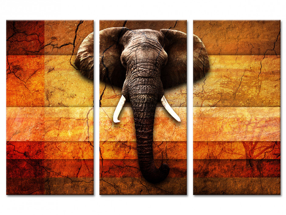 Tableau deco triptyque Elephant