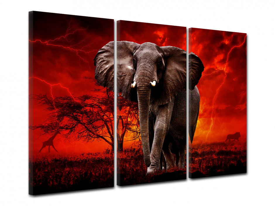 Tableau triptyque Eléphant d'Afrique