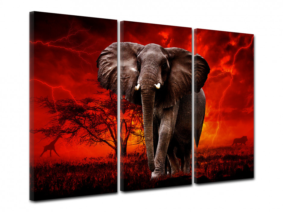 Tableau triptyque Elephant d'Afrique