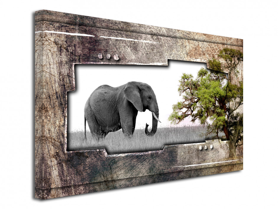 Tableau toile deco Eléphant d'Afrique