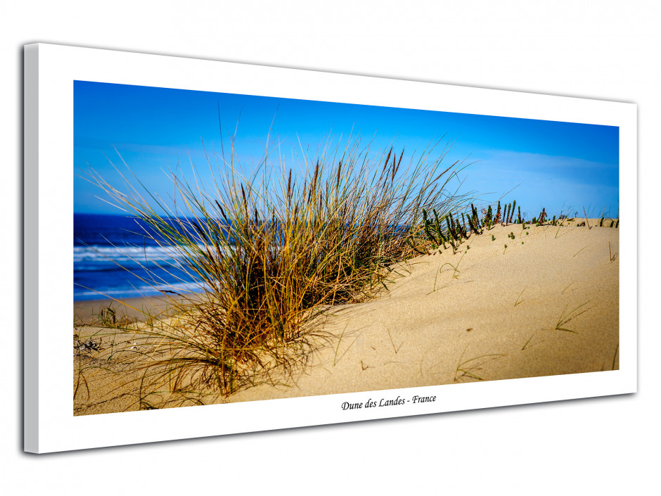 Tableau toile deco Dune des Landes