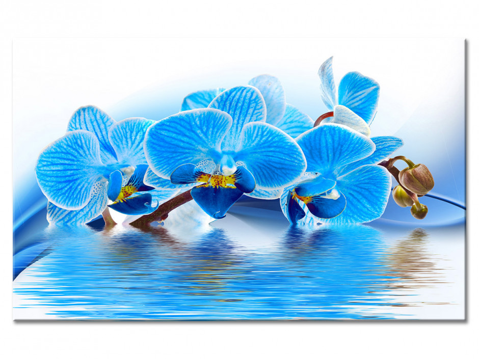 Tableau aluminium ORCHIDÉES BLEUES SUR L'EAU