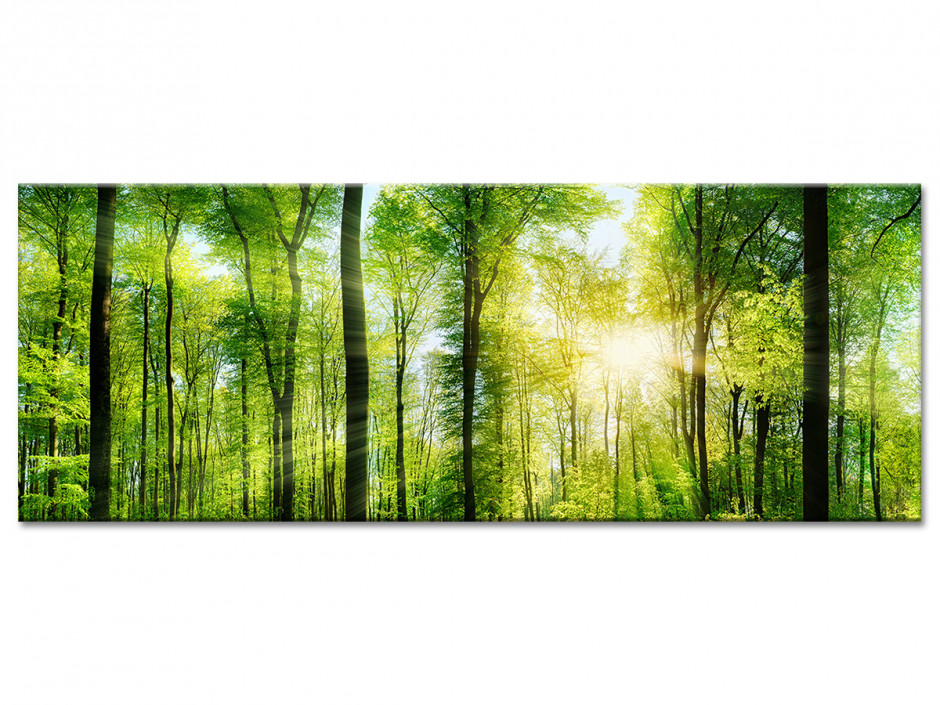 Tableau aluminium photo de paysage NATURE VERDOYANTE