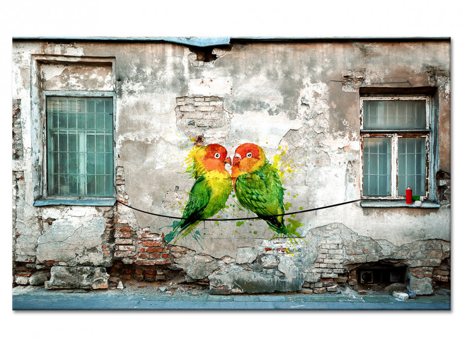 Tableau aluminium photo graffiti COUPLE OISEAUX