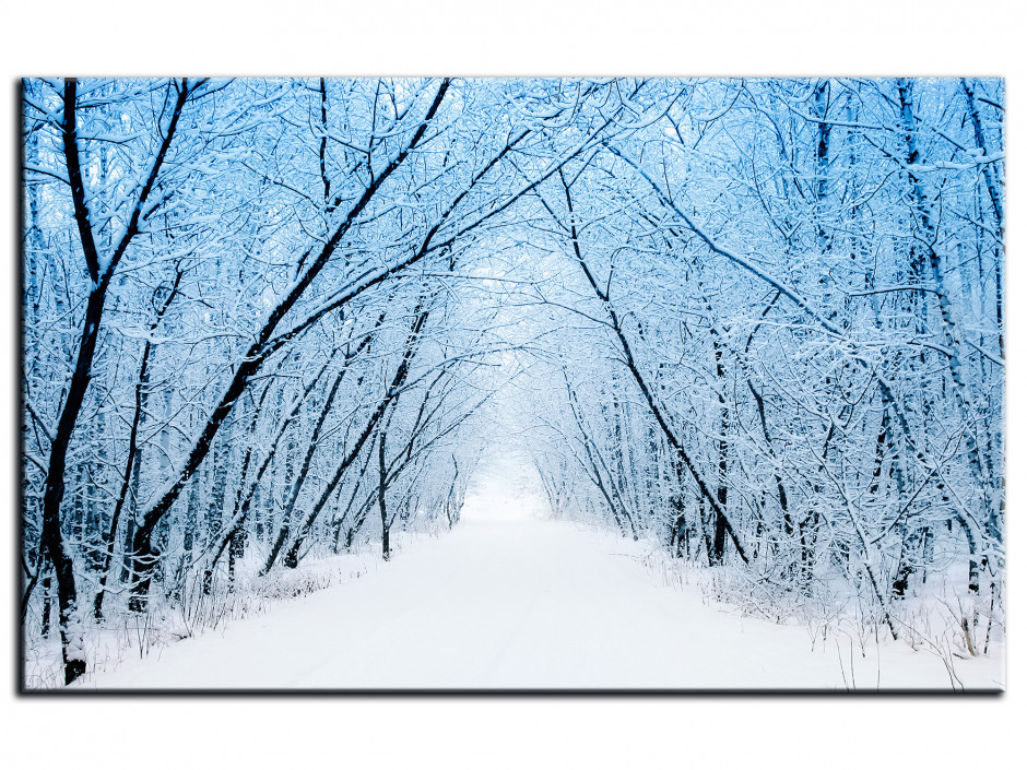 Tableau Deco Foret Enneige Sur Aluminium Boutique Declina