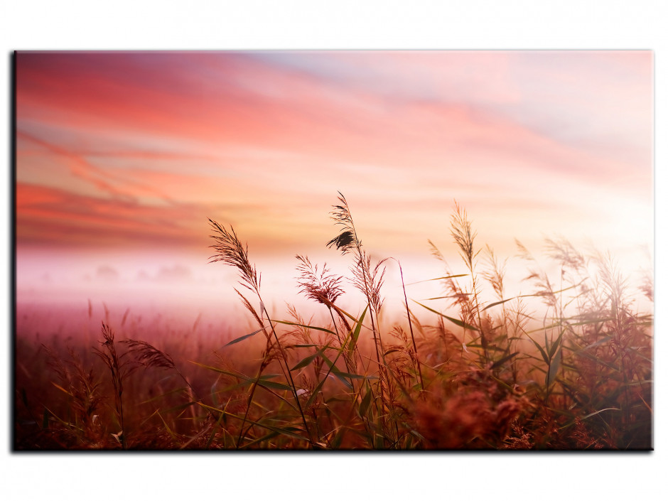 Tableau Aluminium photo PAYSAGE BRUMEUX