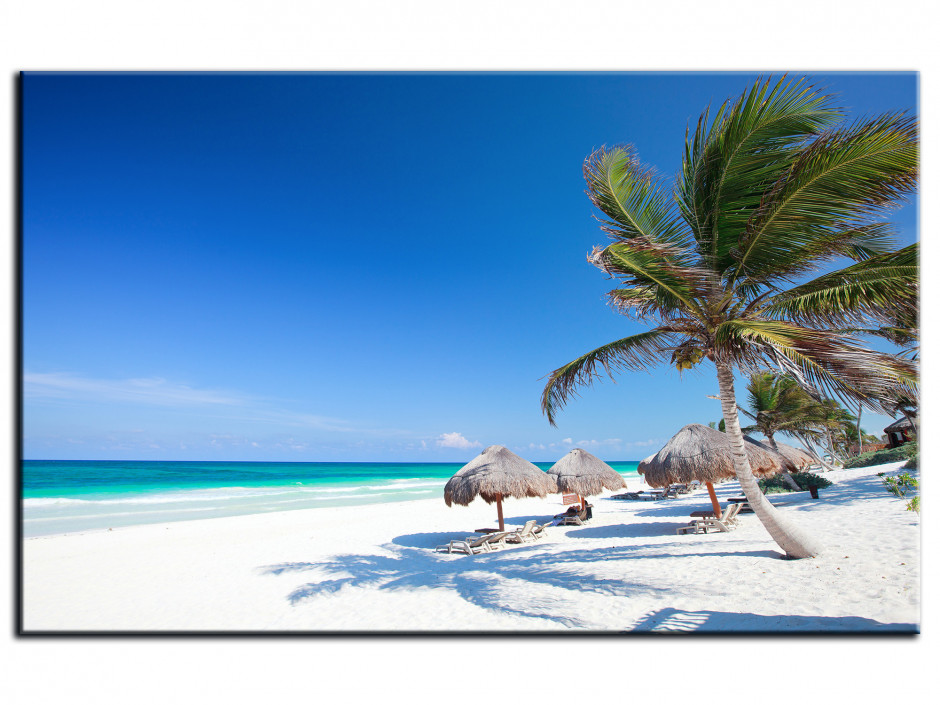 Tableau Aluminium paysage PLAGE DES CARAIBES