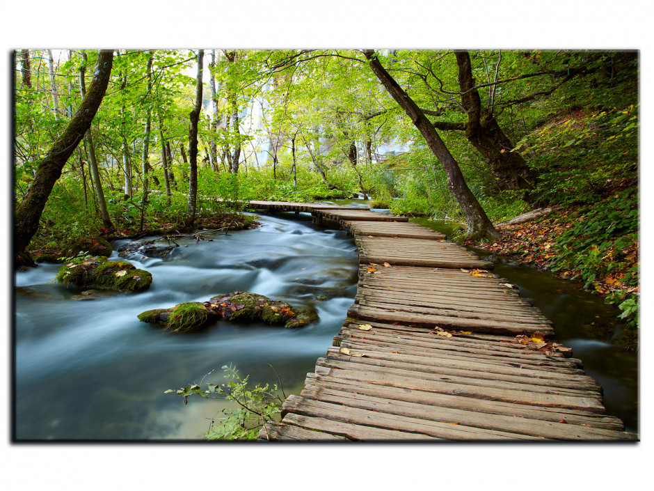 Tableau Aluminium déco CHEMIN DE SOUS-BOIS