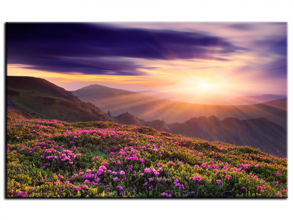 Tableau Aluminium photo paysage MONTAGNE FLEURIE