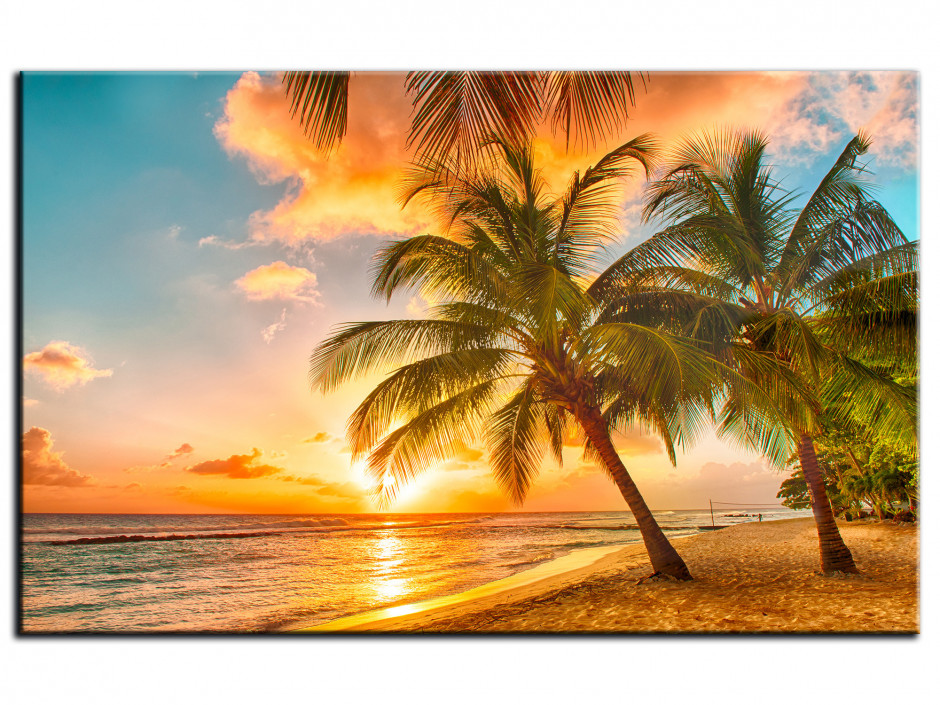 Tableau Aluminium photo SUNSET PALMIERS