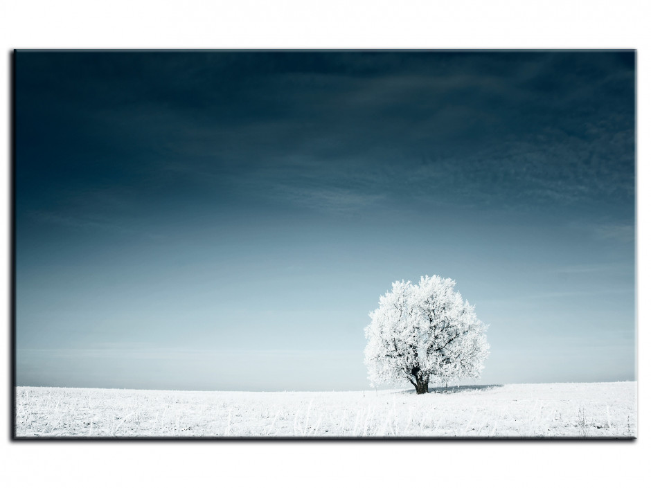 Tableau Aluminium photo paysage SOLITAIRE