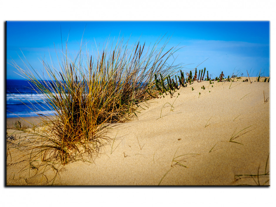 Tableau Aluminium photo LA DUNE DES LANDES