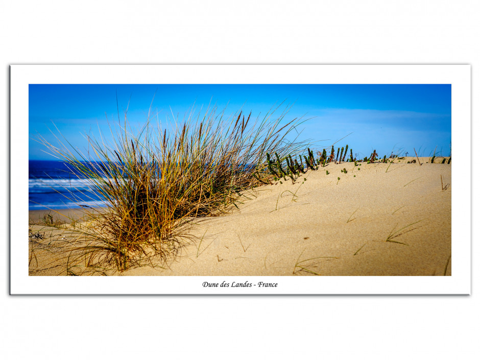 Tableau Aluminium deco Dune des Landes