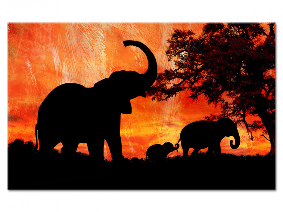 Tableau Aluminium Paysages Africain Les Eléphants