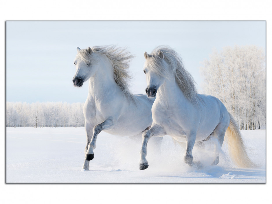 Tableau aluminium Chevaux dans la neige