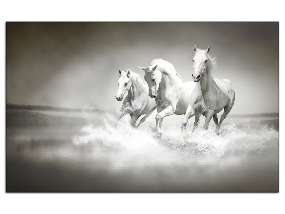 Tableau aluminium photo les 3 Chevaux