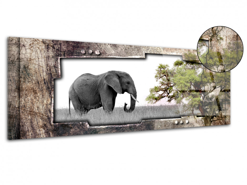 Tableau plexiglas panorama PAYSAGE AFRICAIN ÉLÉPHANT
